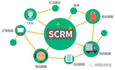 超越偶像Salesforce？销售易在DTC时代的远大前程